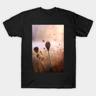 Queen Anne's Lace in Fog T-Shirt